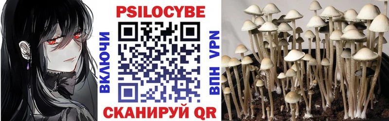 Галлюциногенные грибы Psilocybine cubensis  Кукмор 